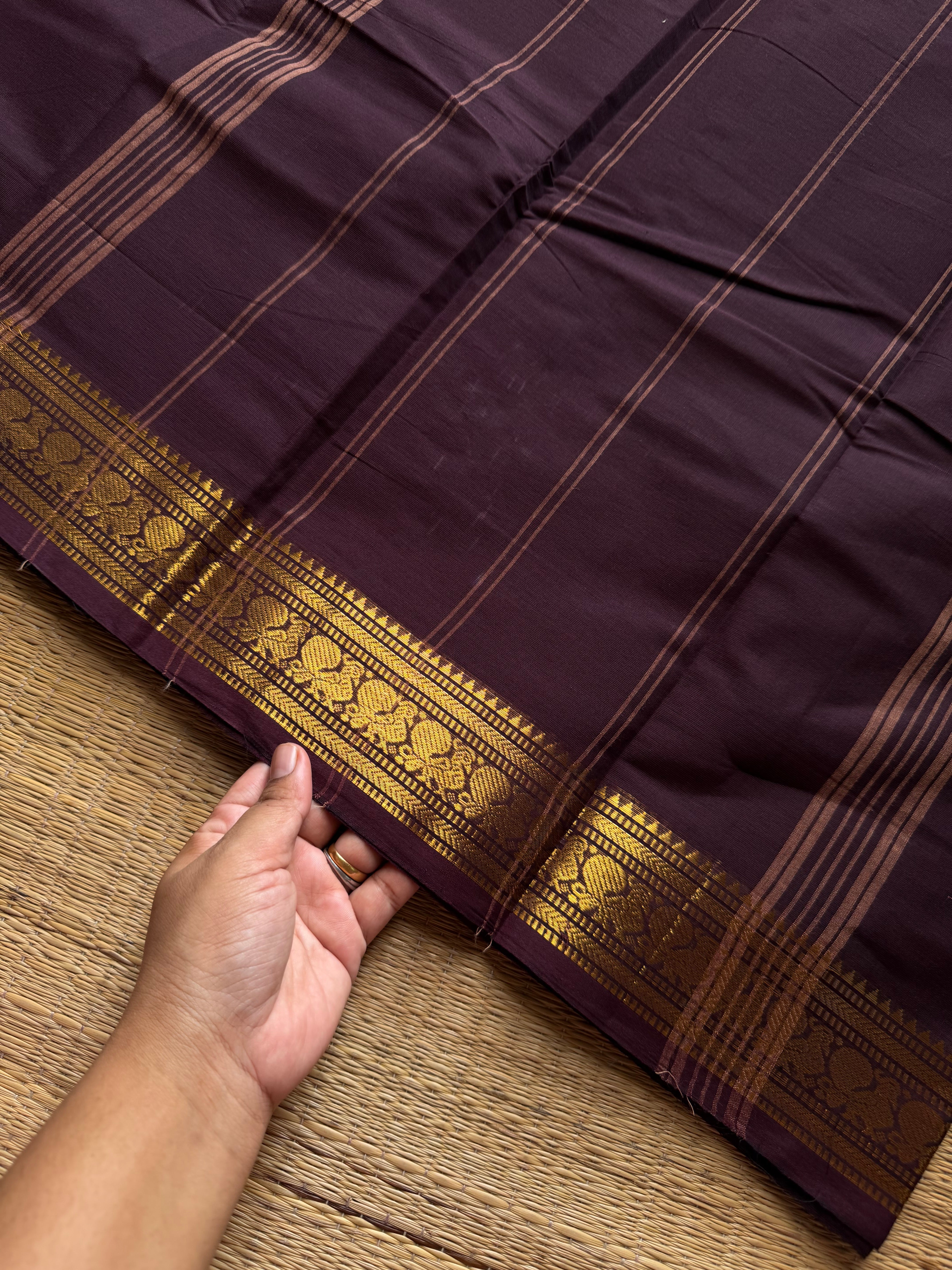 RF1303 Monotone coffee brown small border Kanchi cotton saree
