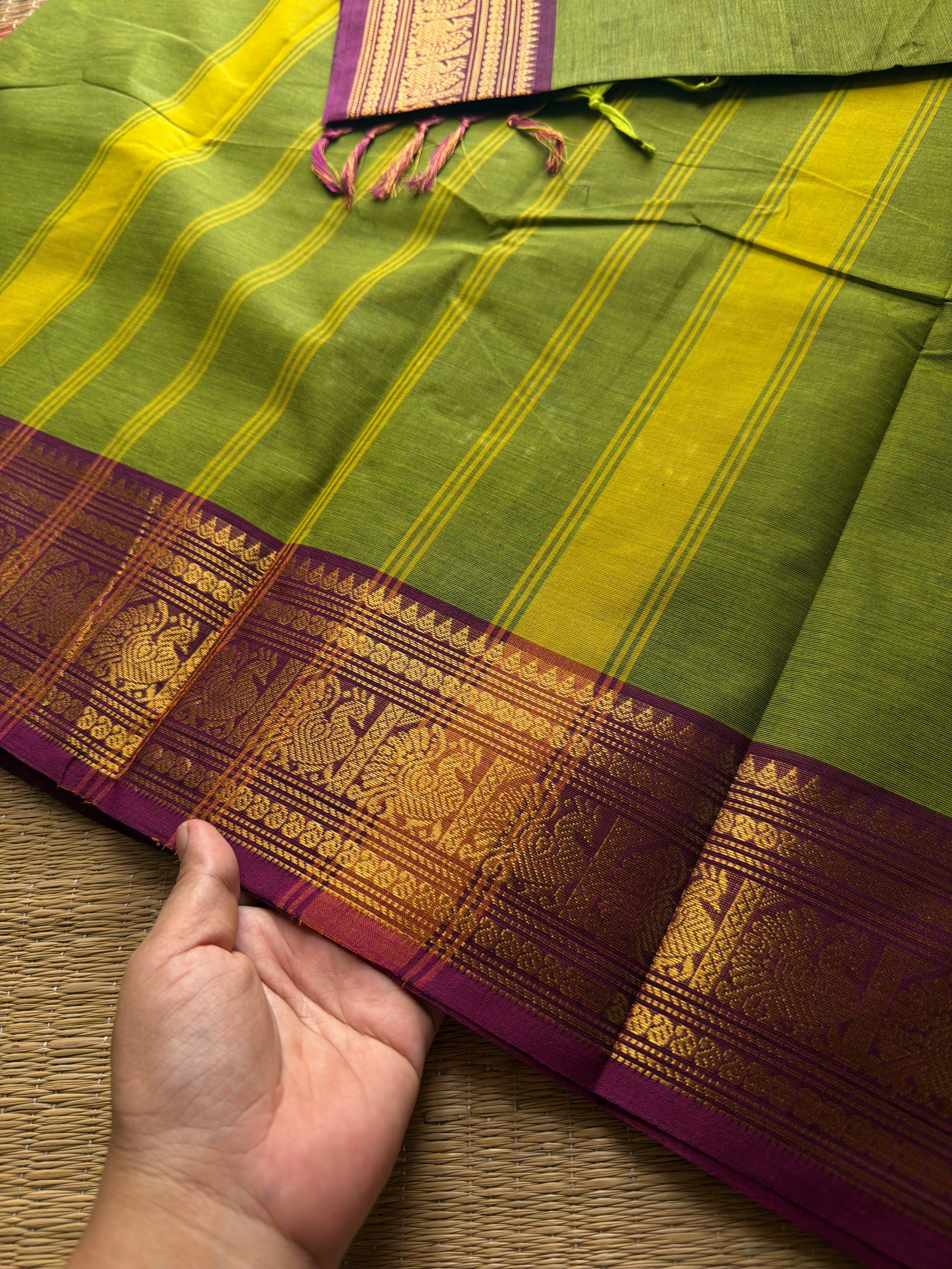 Green and magenta pink combination Kanchi cotton saree