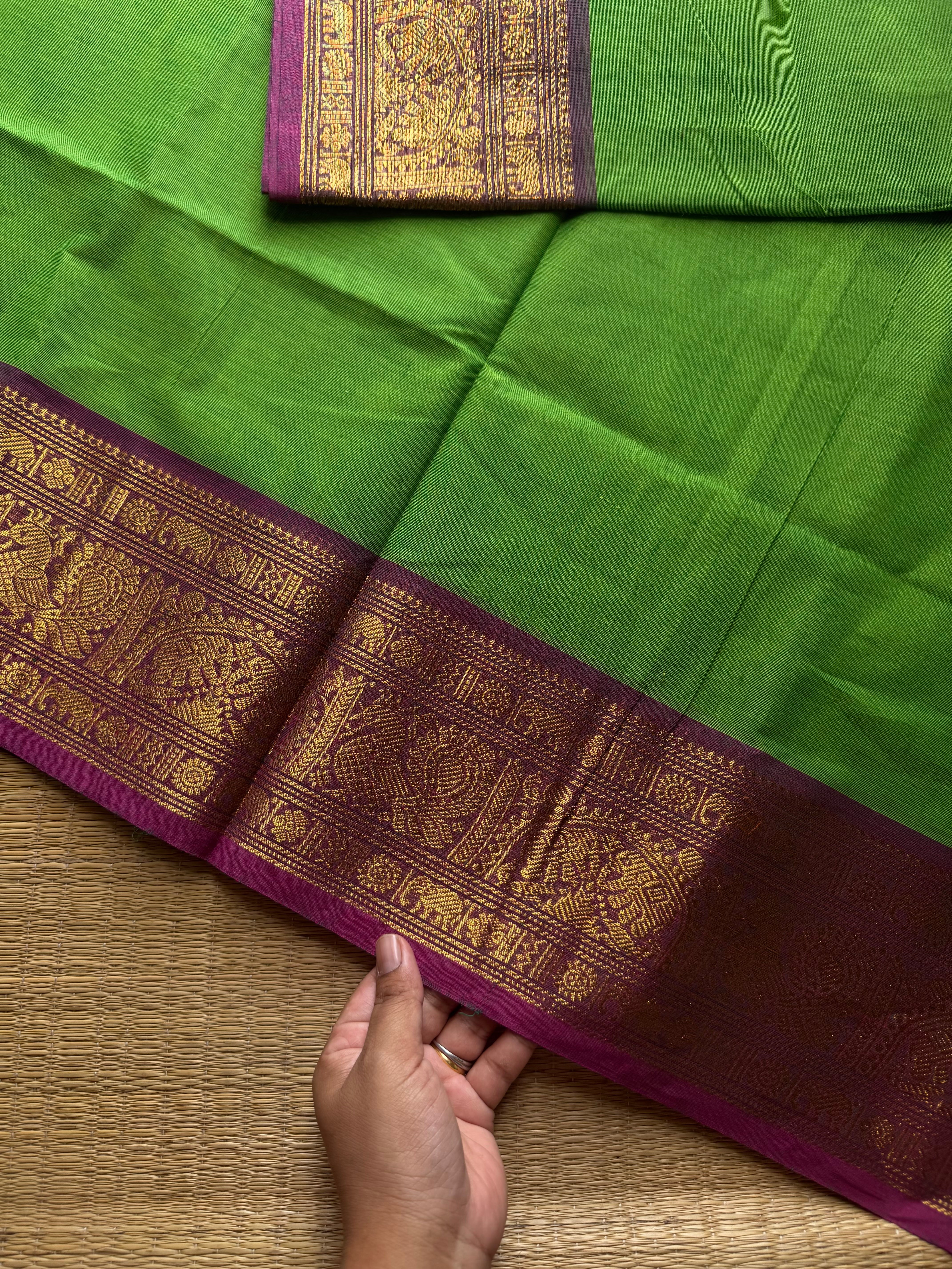 Green shade Kanchi cotton saree ~ Silk Saree Inspired