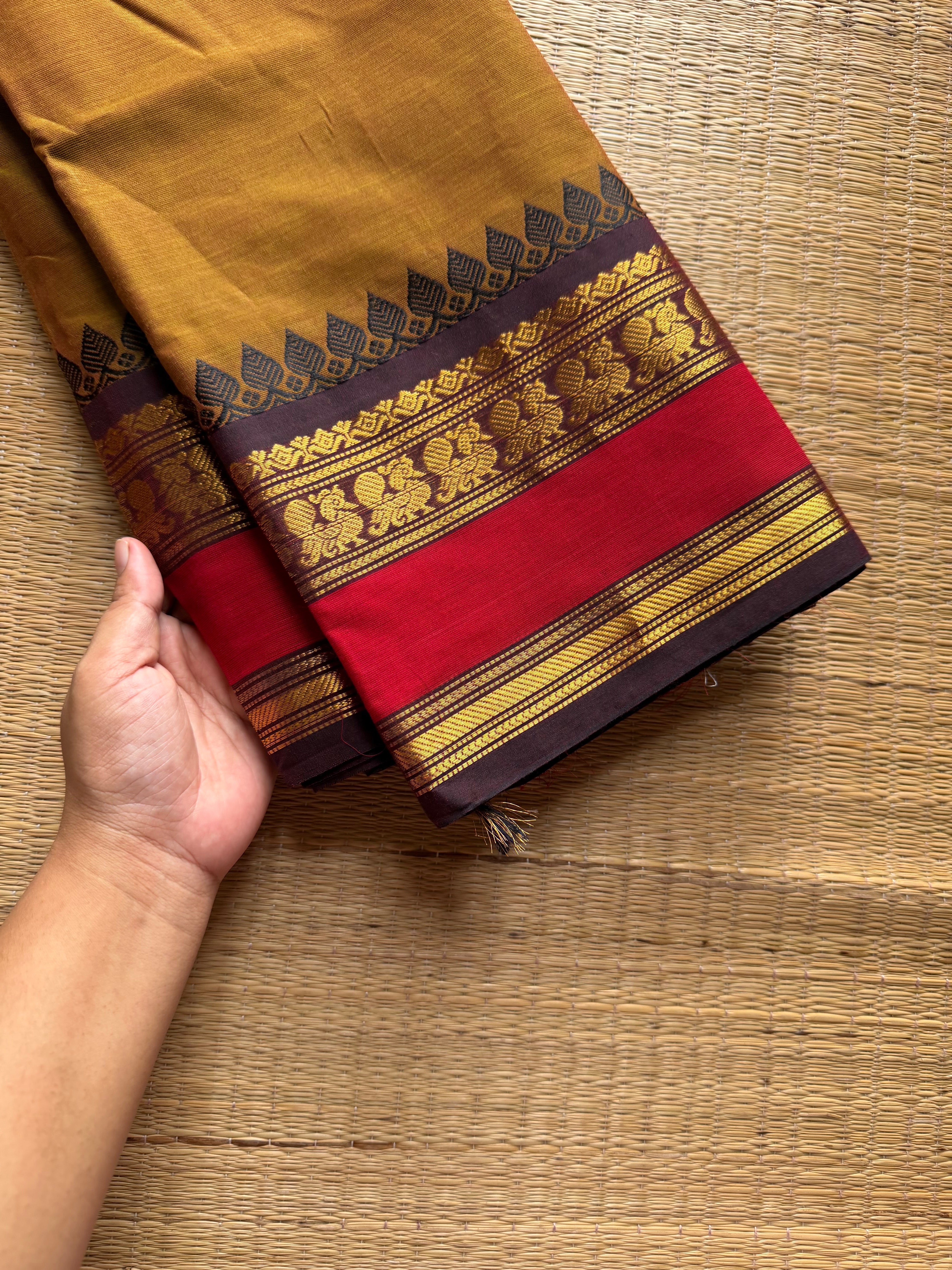 RF1176 Dual tone honey shade ~ Kanchi cotton saree ~ Silk saree inspired