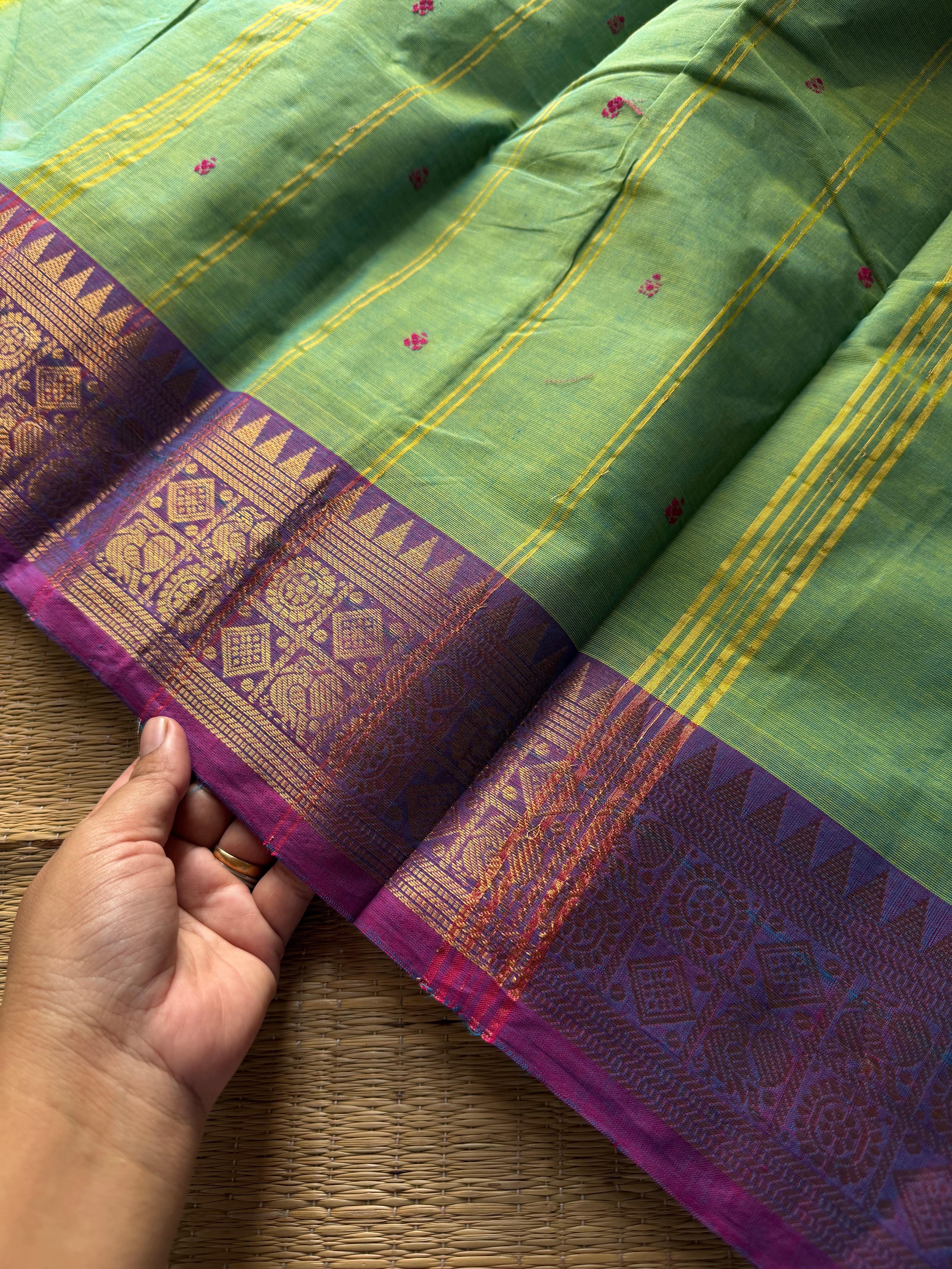 RF961 Apple green shade Kanchi cotton saree