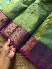 RF961 Apple green shade Kanchi cotton saree