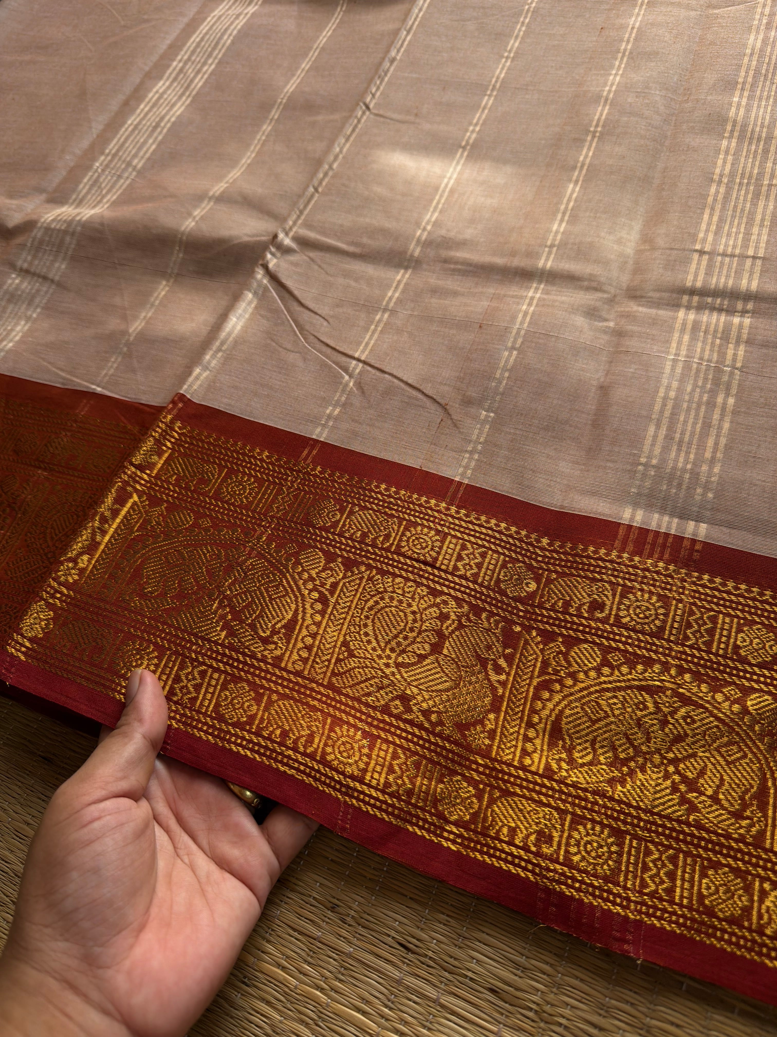 RF678 Beige shade Kanchi cotton saree with silk saree inspired Annam and elephant pattern border