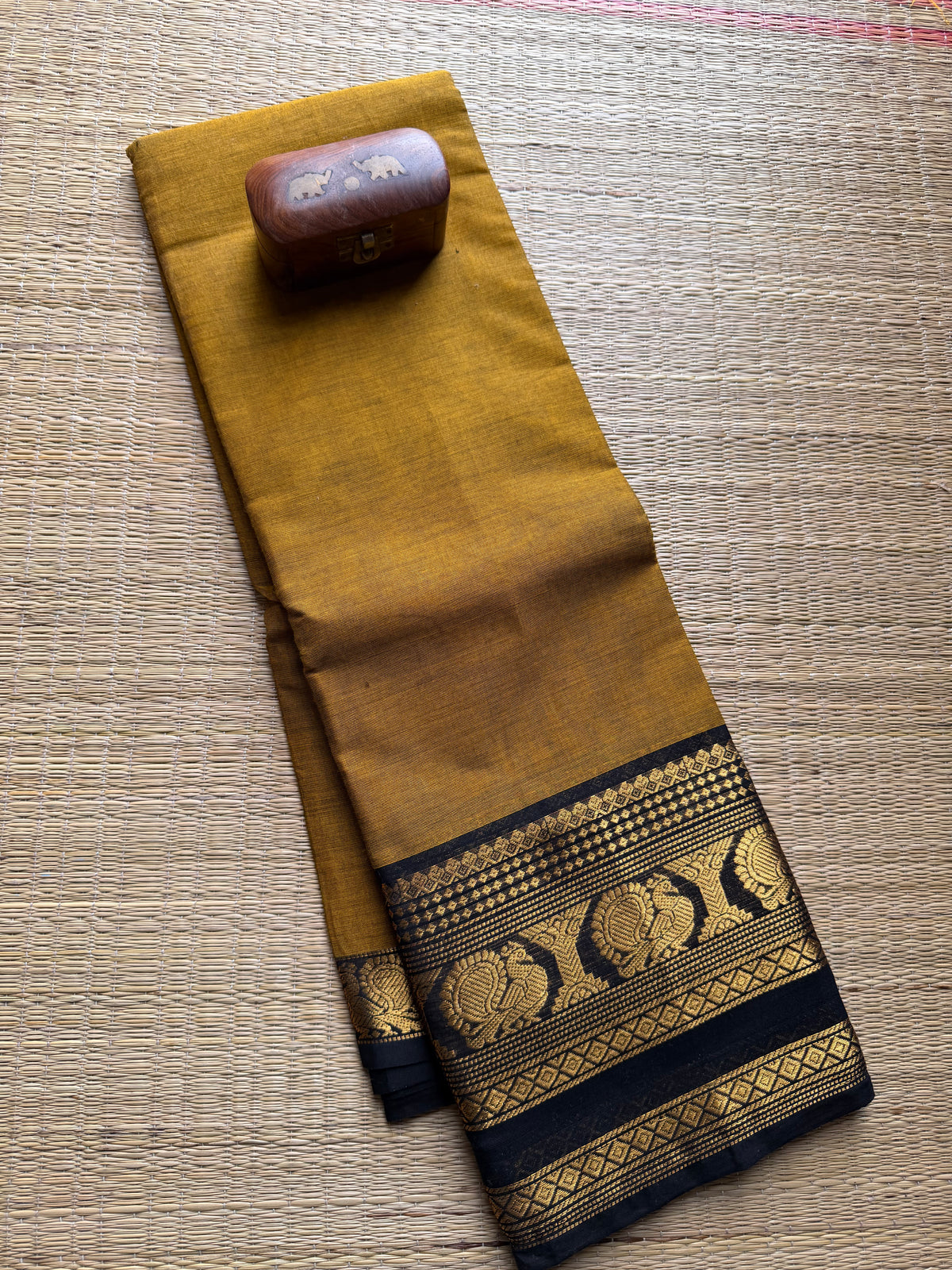 Mustard with Black Kanchi Cotton saree